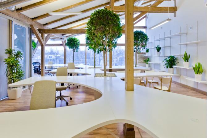 Greenhouse 辦公室裝修設(shè)計(jì)-第10張圖片-上海古都建筑設(shè)計(jì)集團(tuán) Greenhouse 辦公室裝修設(shè)計(jì)-第10張圖片-上海古都建筑設(shè)計(jì)集團(tuán)